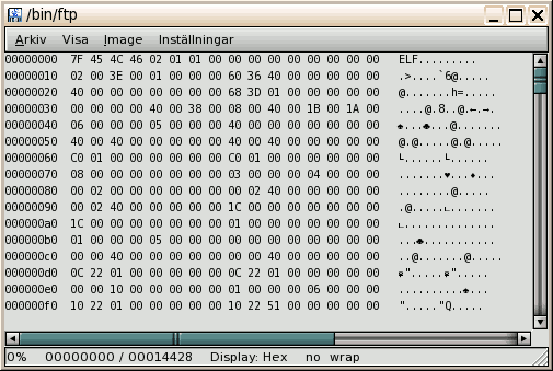 Hex mode with Codepage 437 encoding