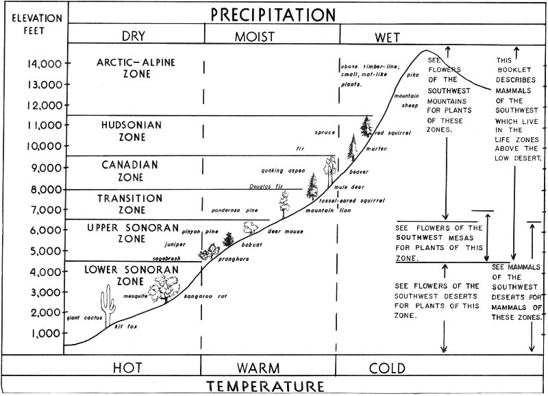 Life Zones